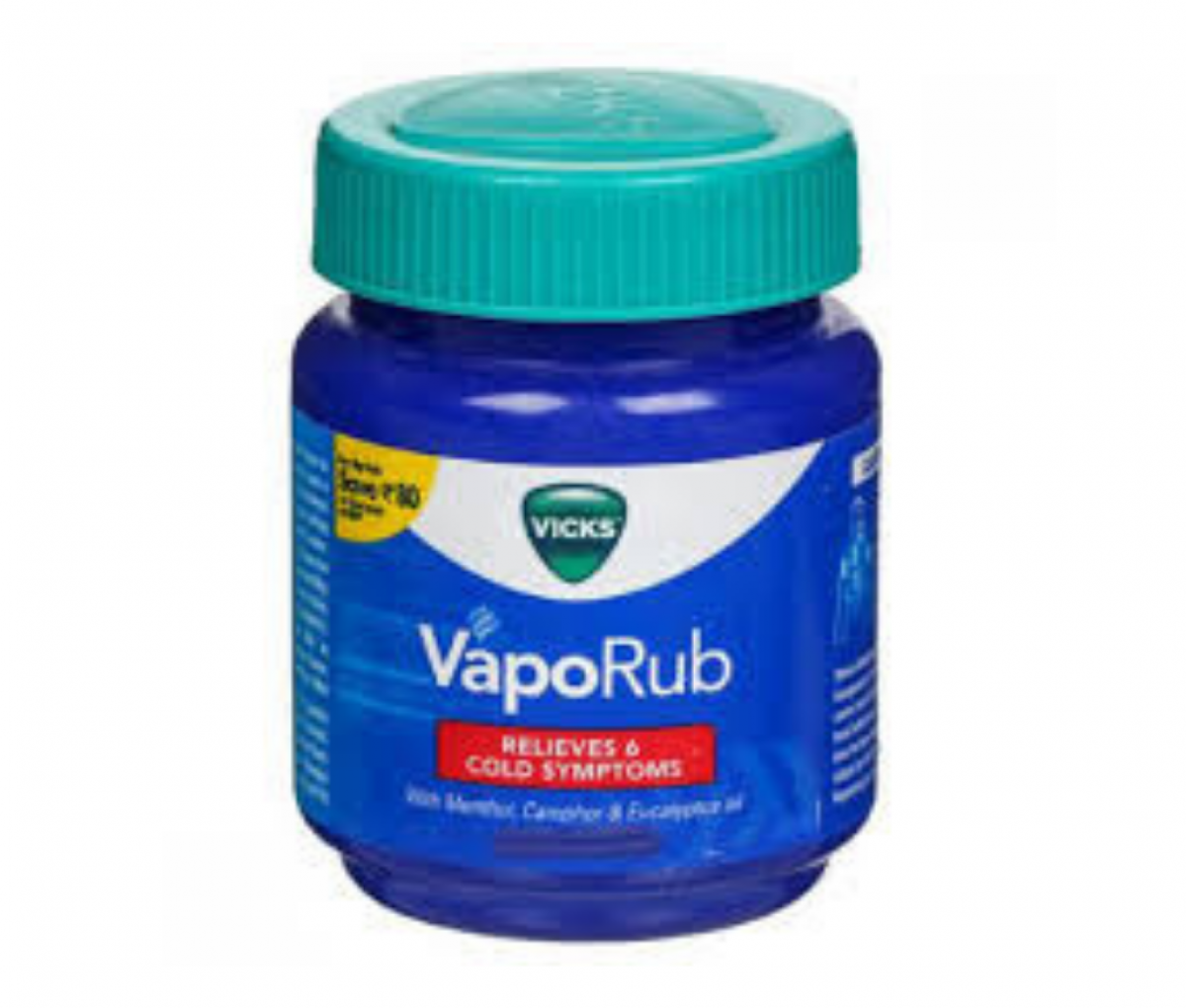 Vicks Vaporub 19g